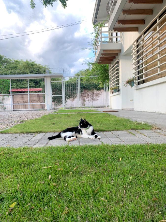 Casa Buda 2 Liberia Cerca Del Aeropuerto 외부 사진